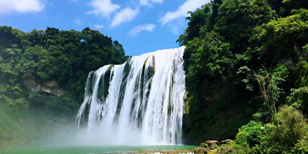 �ƹ�������