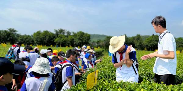 ��ѧ����