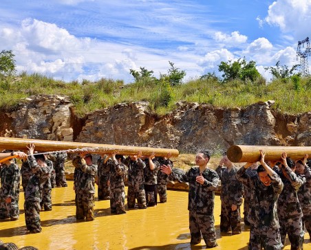 ħ����Ŀ�